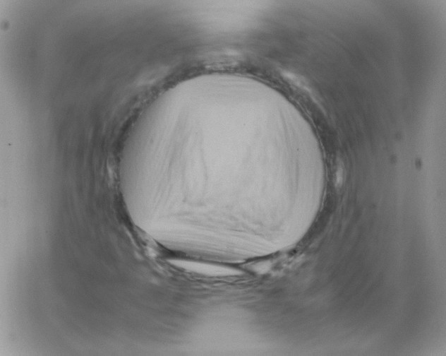 X0000064041445200602242309