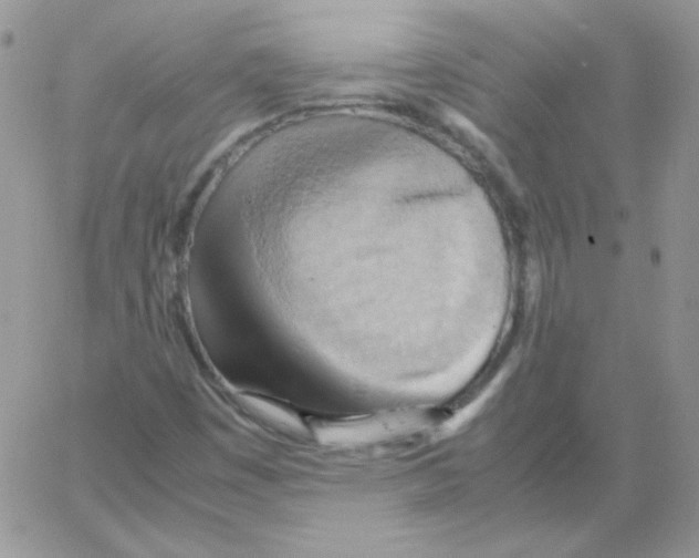 X0000064041449200602242308