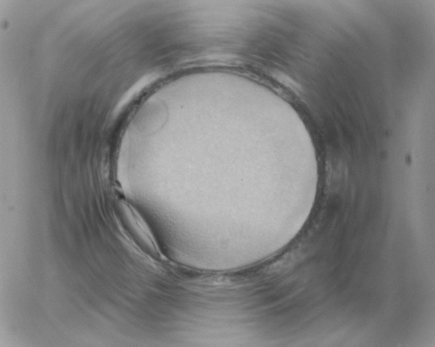 X0000064041450200602242308