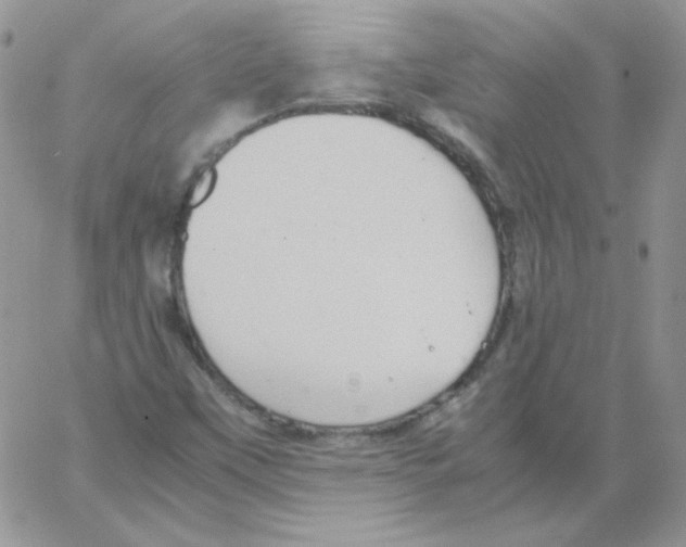 X0000064041451200602242308