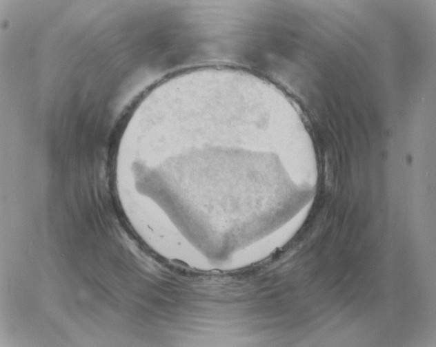 X0000064041452200602242308