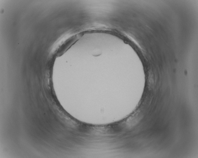 X0000064041455200602242308