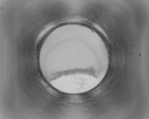 X0000064041456200602242308