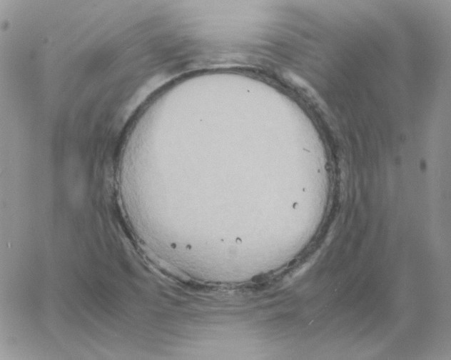 X0000064041457200602242308