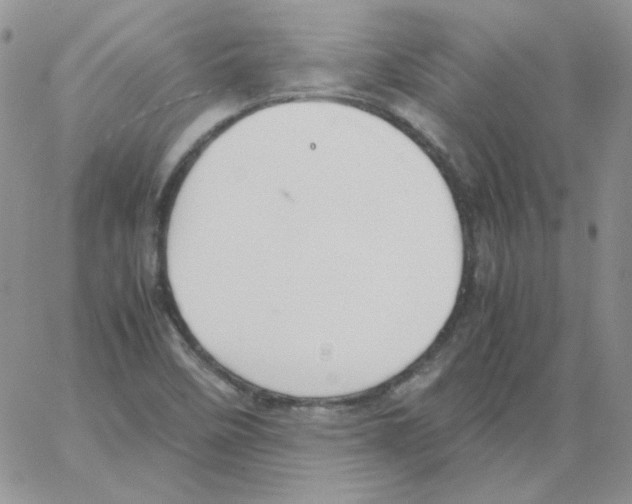 X0000064041458200602242308