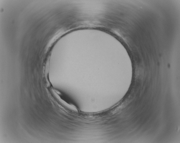 X0000064041459200602242308