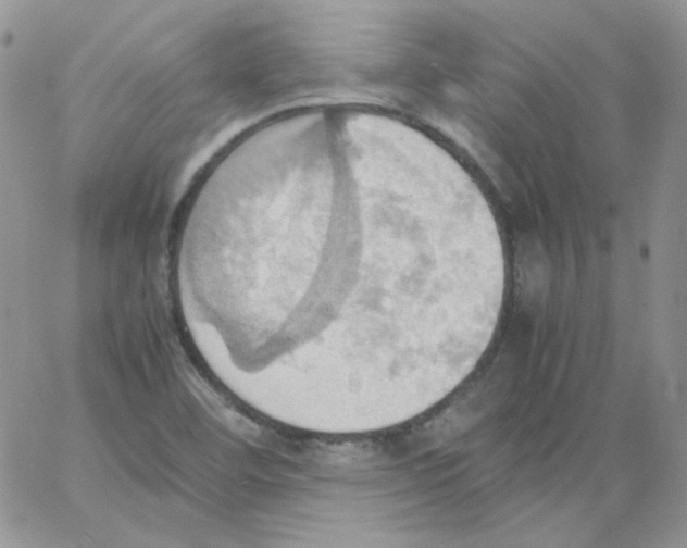 X0000064041460200602242308