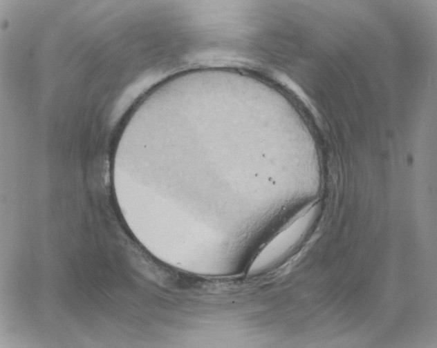 X0000064041461200602242308