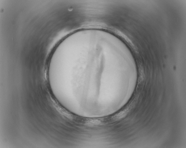 X0000064041462200602242308