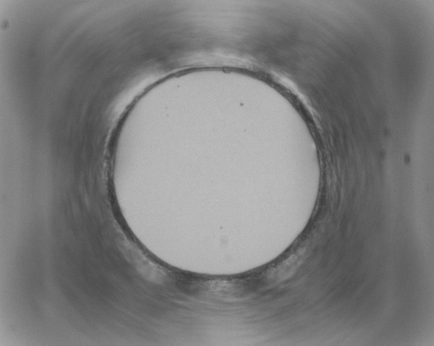 X0000064041463200602242308