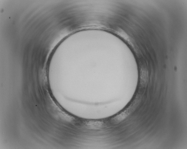 X0000064041466200602242308