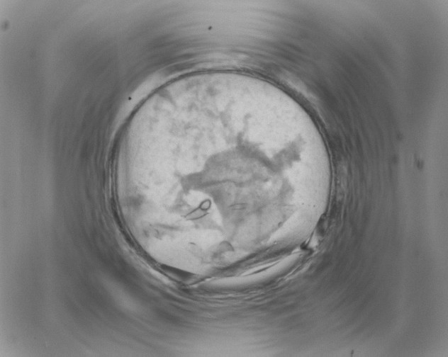 X0000064041467200602242308