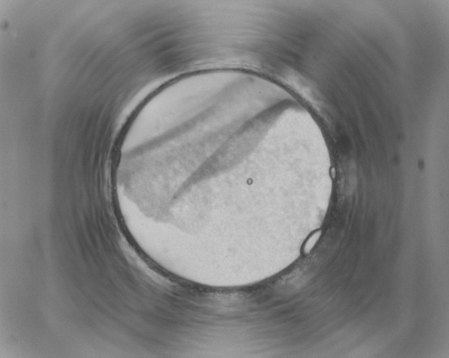 X0000064041468200602242308