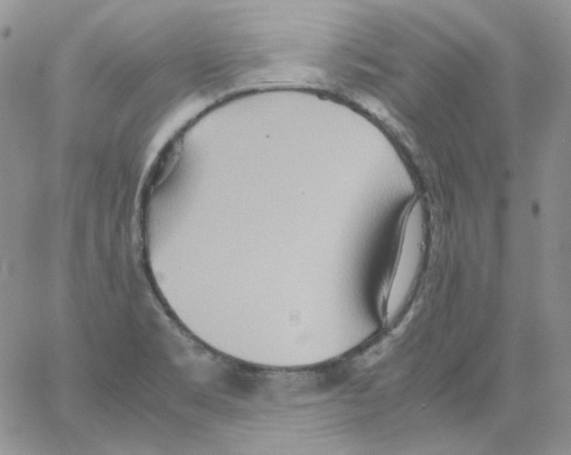 X0000064041469200602242308