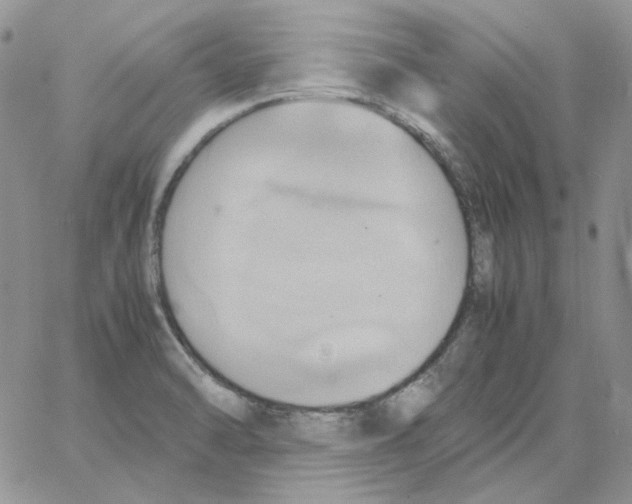 X0000064041470200602242308