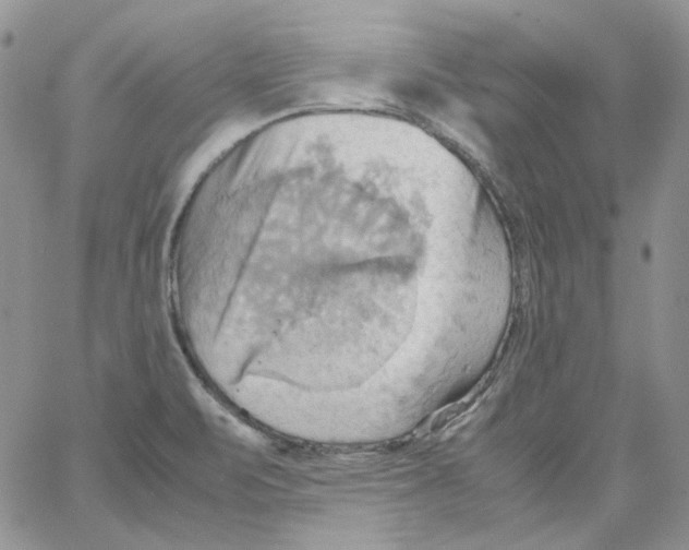 X0000064041471200602242308