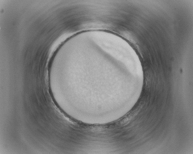 X0000064041472200602242308