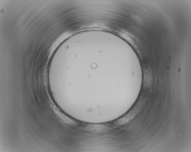 X0000064041474200602242308