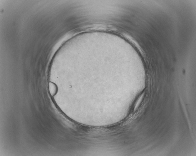 X0000064041475200602242308