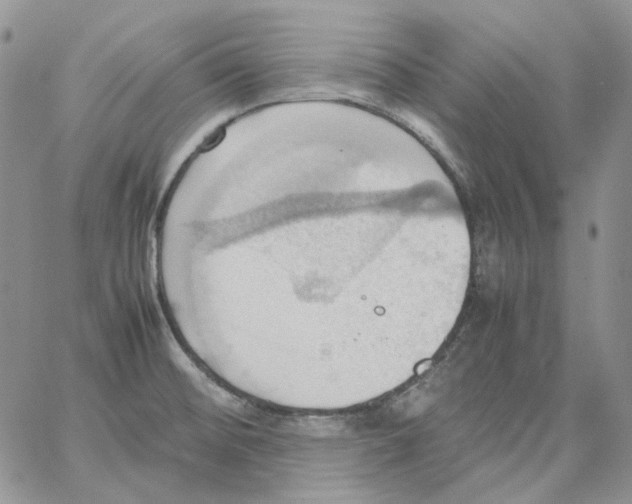 X0000064041476200602242308