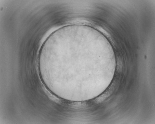 X0000064041478200602242308