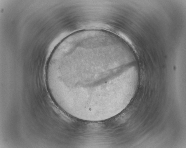 X0000064041480200602242308