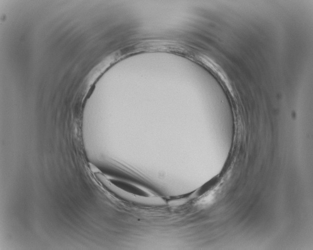 X0000064041481200602242308