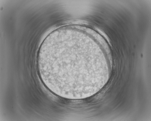 X0000064041483200602242308