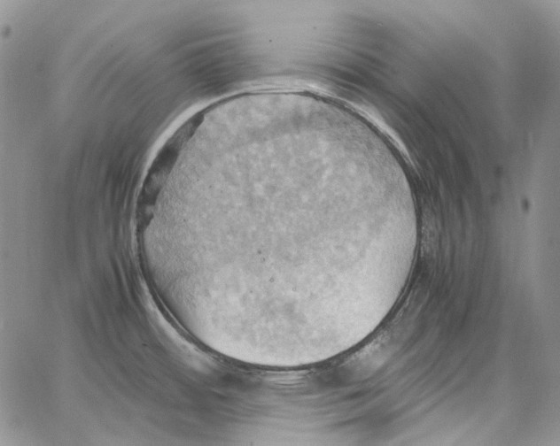 X0000064041484200602242308