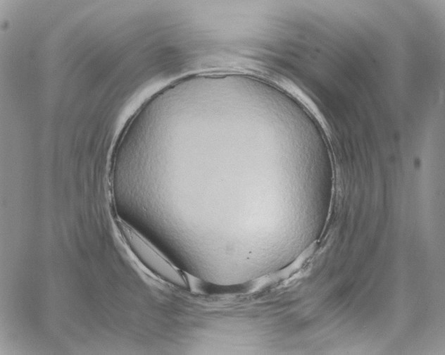 X0000064041485200602242308