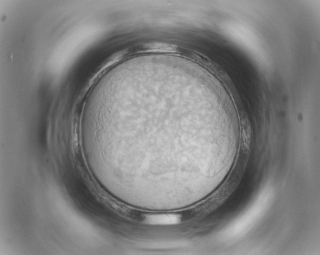 X0000064041487200602242308