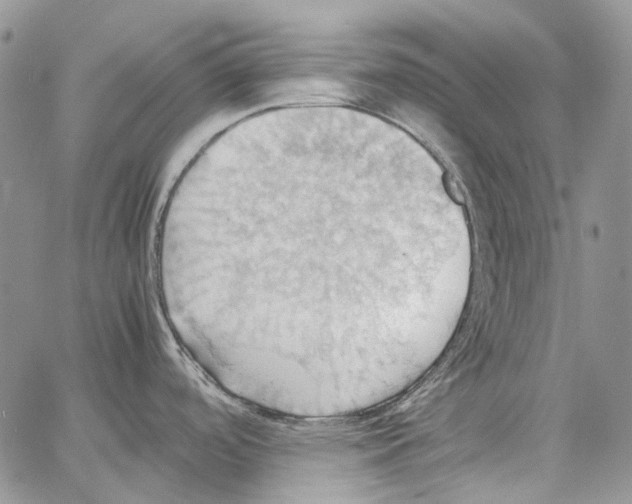 X0000064041488200602242308