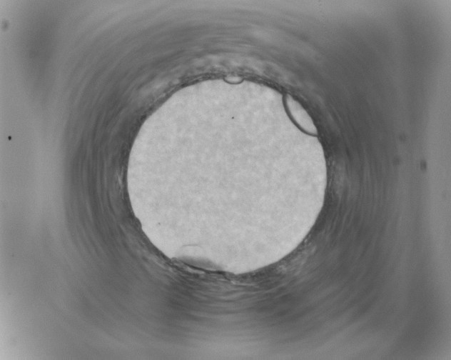 X0000064041489200602242307