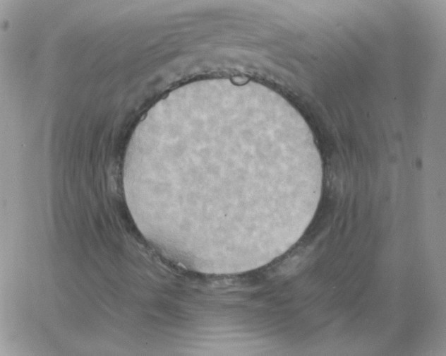 X0000064041490200602242307