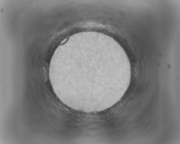 X0000064041493200602242307