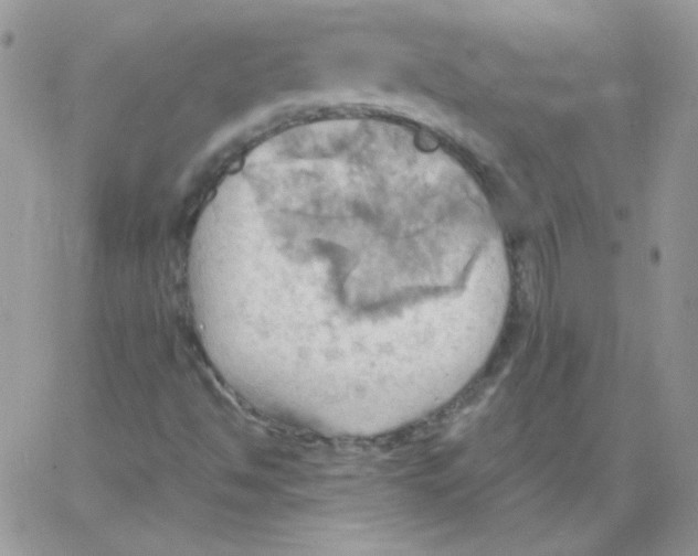 X0000064041494200602242307