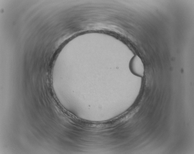 X0000064041497200602242307