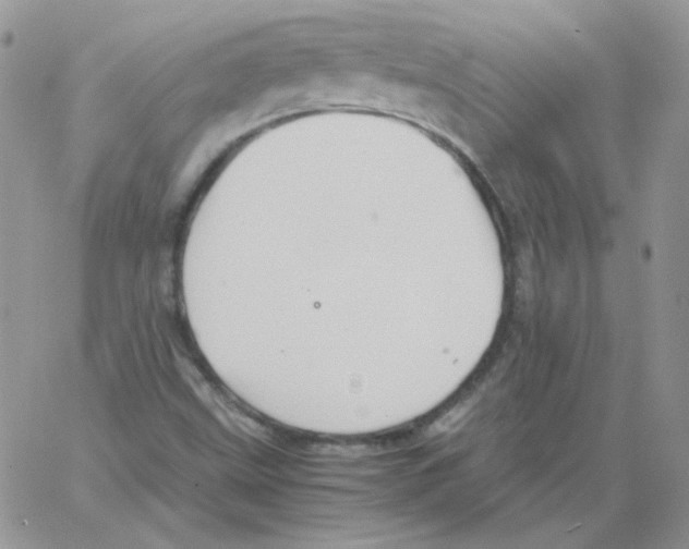 X0000064041499200602242307