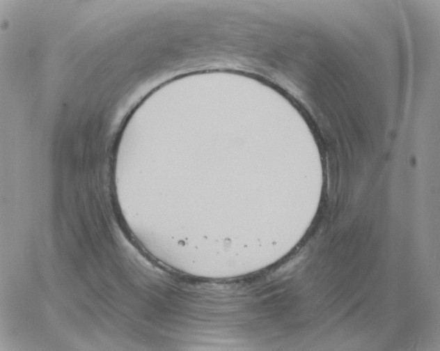 X0000064041500200602242307