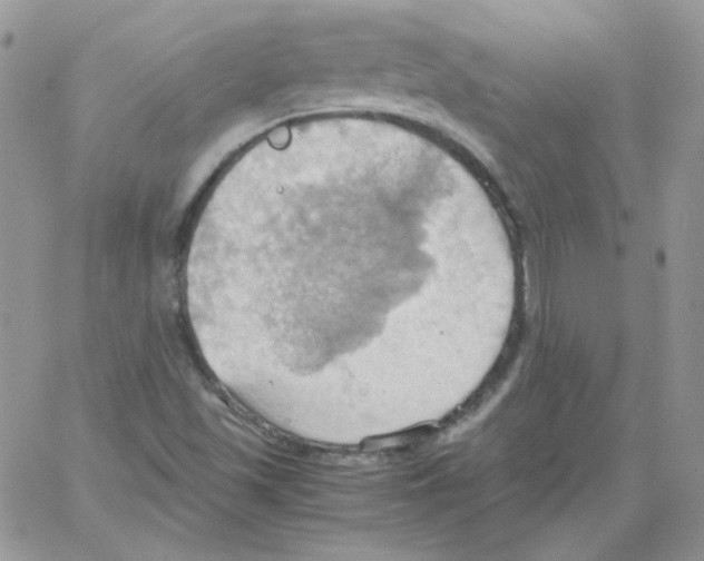 X0000064041501200602242307