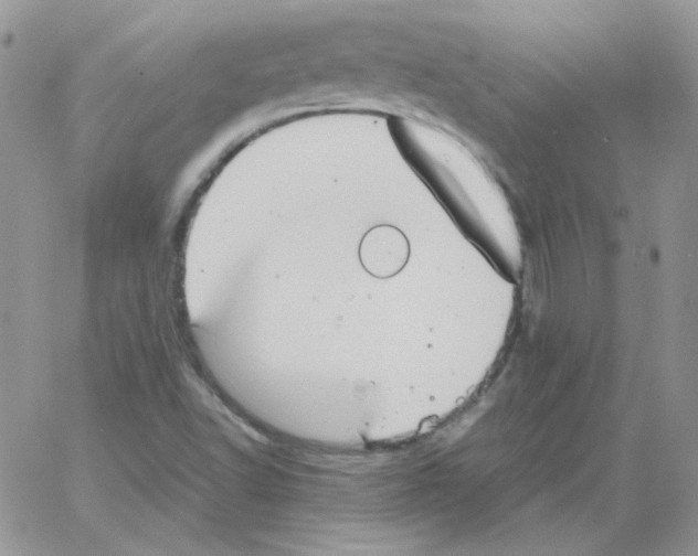 X0000064041502200602242307