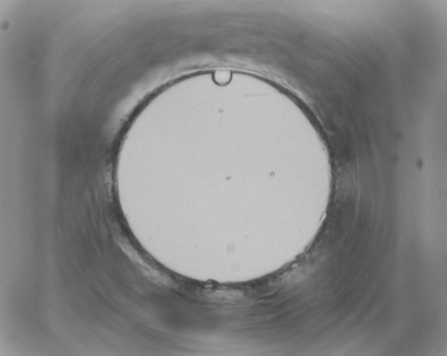 X0000064041503200602242307