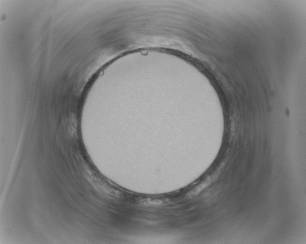 X0000064041505200602242307