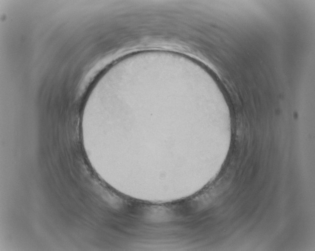 X0000064041507200602242307