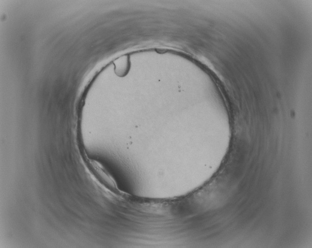 X0000064041508200602242307