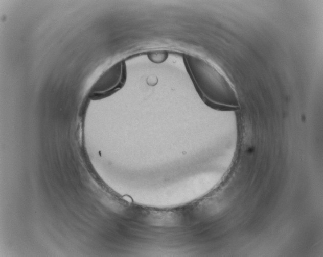 X0000064041509200602242307