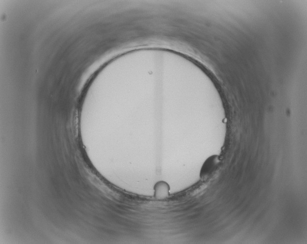 X0000064041510200602242307