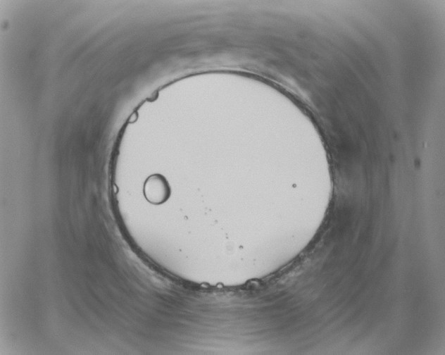 X0000064041512200602242307