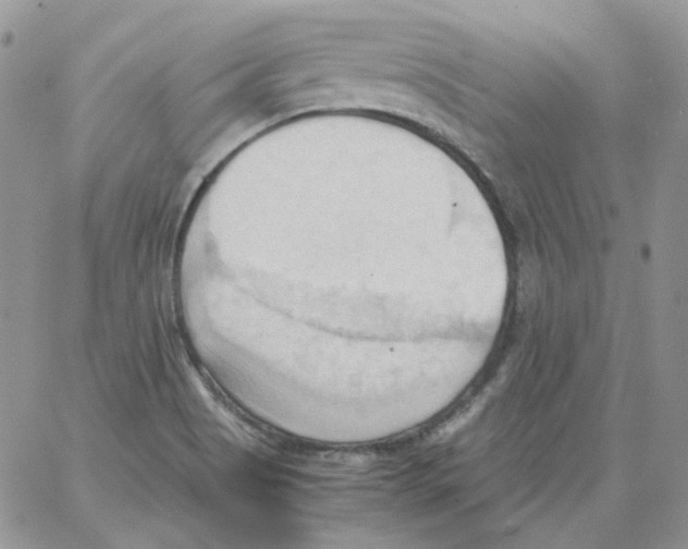 X0000064041513200602242307