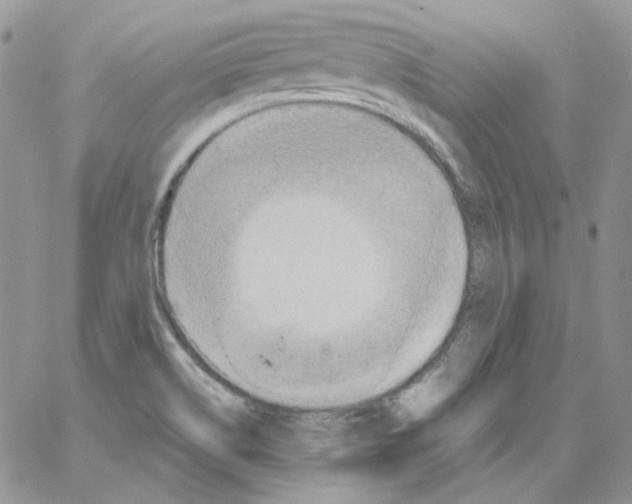 X0000064041514200602242307